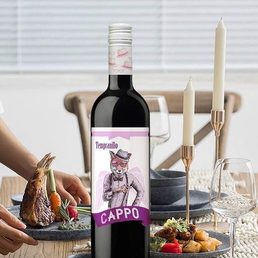 酷保丹魄干红葡萄酒750ml*6瓶/箱（自提） 商品图1