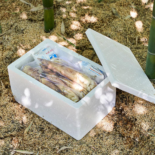 [屁侠推荐]新鲜脆嫩 肉质肥厚 现挖现发 浙江临安2026年当季春笋 商品图8