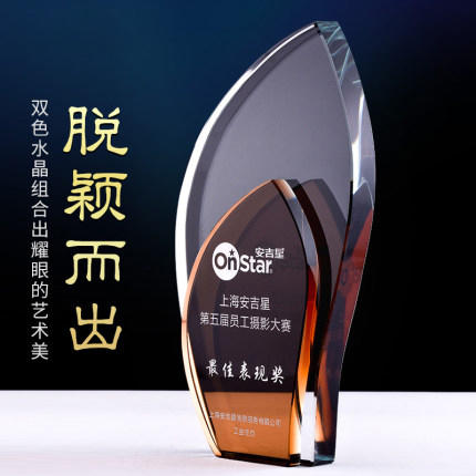 叶子水晶奖杯定制优秀员工纪念品公司企业颁奖奖牌授权牌定做刻字 商品图0