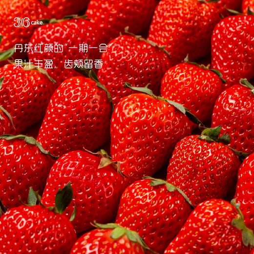 【任务宝兑换】心愿留声机.酸奶草莓慕斯蛋糕 商品图4