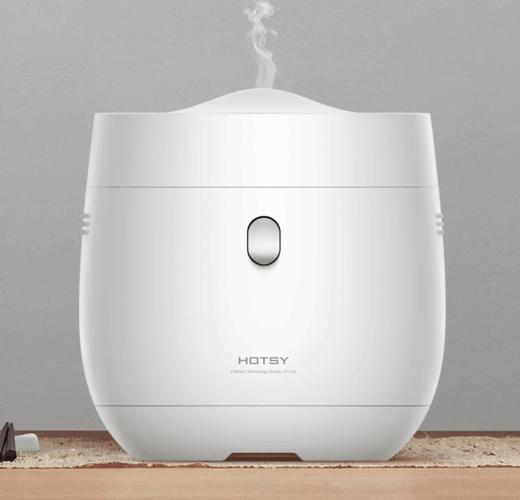 hotsy迷你电饭煲智能家用多功能1.6L升小型单人1-2-3人用电饭锅 HOTSY HOT-20H 商品图0