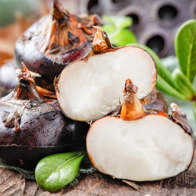 广西荔浦旱地马蹄，果实圆润饱满，脆甜无渣，现挖现发~