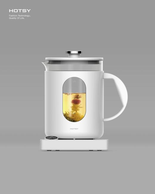 hotsy养生壶 HOTSY HOT-Y15 商品图0