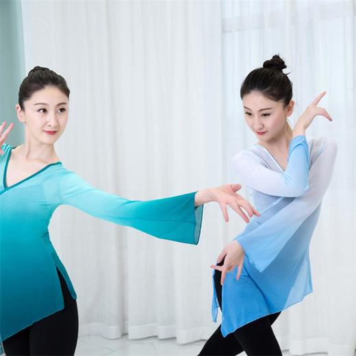 古典舞蹈练功服喇叭袖渐变艺考表演服女民族舞身韵舞蹈纱衣女 商品图0