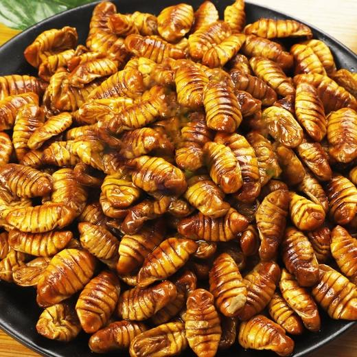 蚕蛹400克/包 商品图4