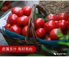 垄畔优品水果西红柿 商品缩略图4