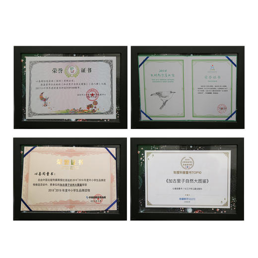 加古里子手绘博物百科：全8册 商品图4