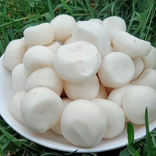 广西荔浦旱地马蹄，果实圆润饱满，脆甜无渣，现挖现发~ 商品图4