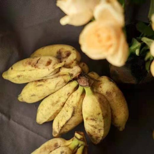 生态芭蕉/约5斤冬季可能有硬心不售后，介意勿拍 商品图1