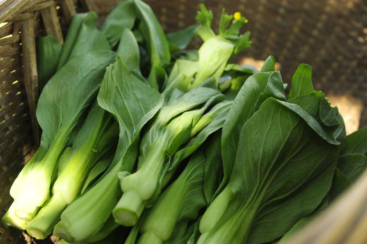 青菜心/老品种青菜心（400g）因季节原因，不用化肥的叶菜会略带苦味哦！ 商品图1