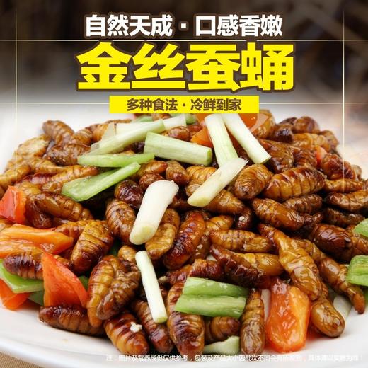 蚕蛹400克/包 商品图2