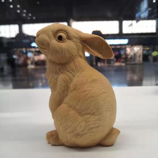 兔子大号 商品图0