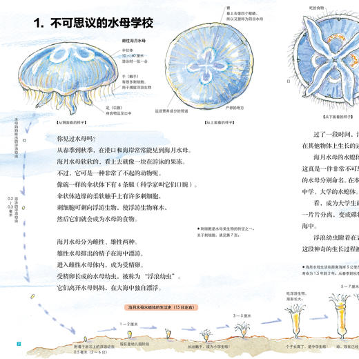 加古里子手绘博物百科：全8册 商品图7