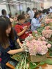 蝴蝶兰组盆创意花艺课&定制花艺课集锦 商品缩略图8