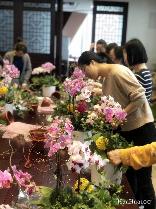 蝴蝶兰组盆创意花艺课&定制花艺课集锦 商品图0