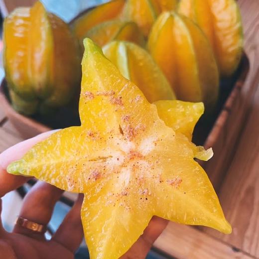 福建下河树上熟老树软枝杨桃 （4.5斤-5斤礼盒装） 商品图4