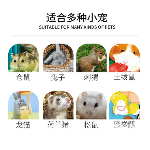 道力其小动物营养膏80g/120g仓鼠龙猫 补充营养 护肠胃 商品图6