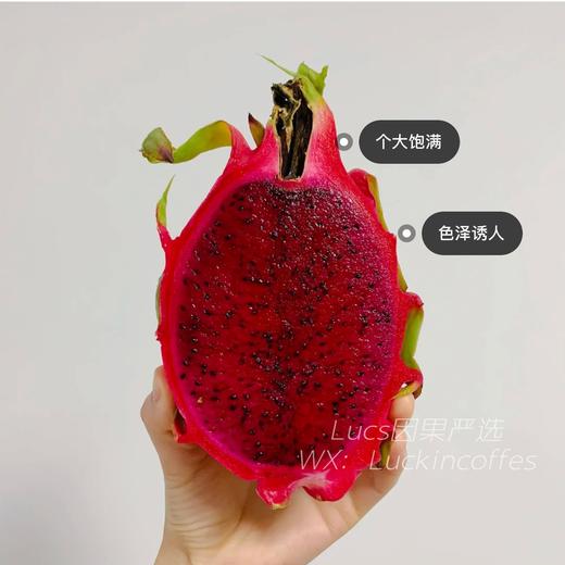越南 红心火龙果  一级果 9.9/斤 口感纯甜 商品图0