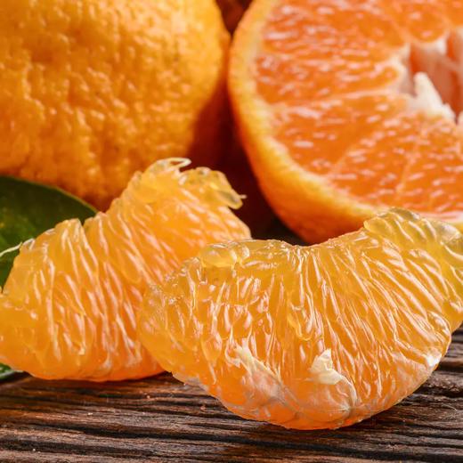 【四川•不知火丑橘】新鲜采摘  肉质脆嫩Q弹 酸甜适中 自然果酸 不打甜蜜素 细腻不上火 商品图1