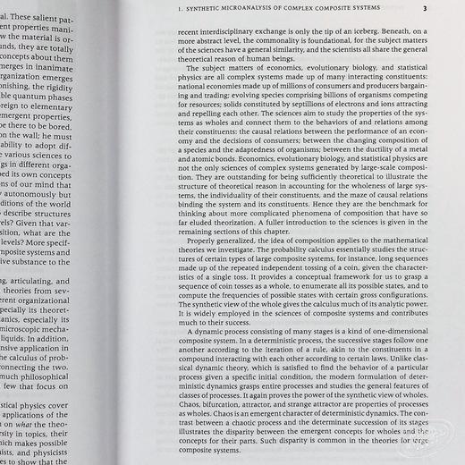【中商原版】复杂系统理论基础 豆瓣高分 英文原版 Foundations of Complex System Theories Sunny Y Auyang 商品图4