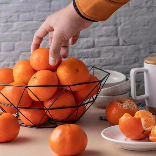 桂林珍珠柑  （5斤/8斤装） 商品图1