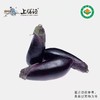 【下单后2-3天发货】上膳源有机紫茄 商品缩略图0