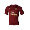SFS正品 彪马正品特价 阿森纳球员版训练服 赛前热身T恤 男子球衣 商品缩略图4