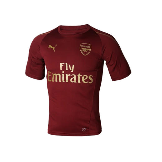 SFS正品 彪马正品特价 阿森纳球员版训练服 赛前热身T恤 男子球衣 商品图4