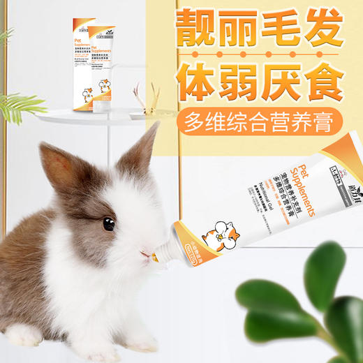道力其小动物营养膏80g/120g仓鼠龙猫 补充营养 护肠胃 商品图4