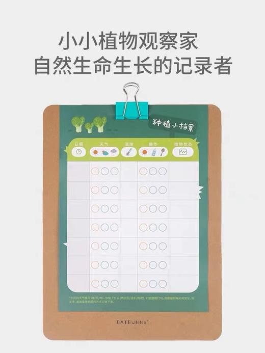 Batbunny蝙蝠兔3D立体拼图套装植物种植邦尼兔 商品图1