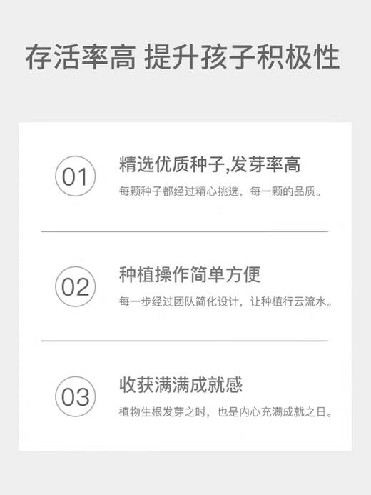 Batbunny蝙蝠兔3D立体拼图套装植物种植邦尼兔 商品图3