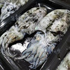【野生】活冻小墨鱼 商品缩略图4