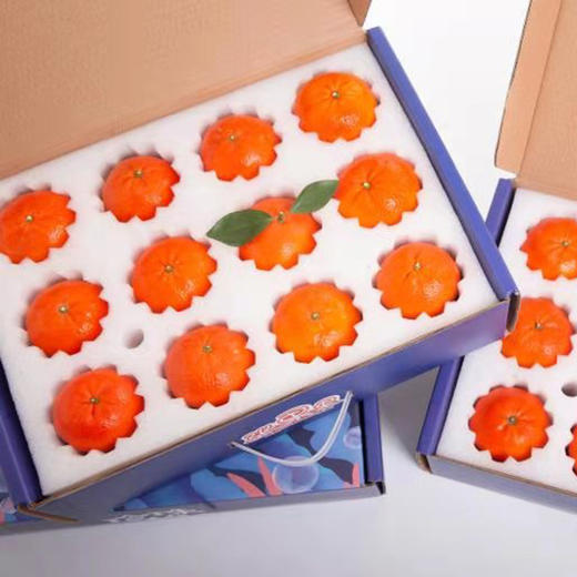 桂林珍珠柑  （5斤/8斤装） 商品图5