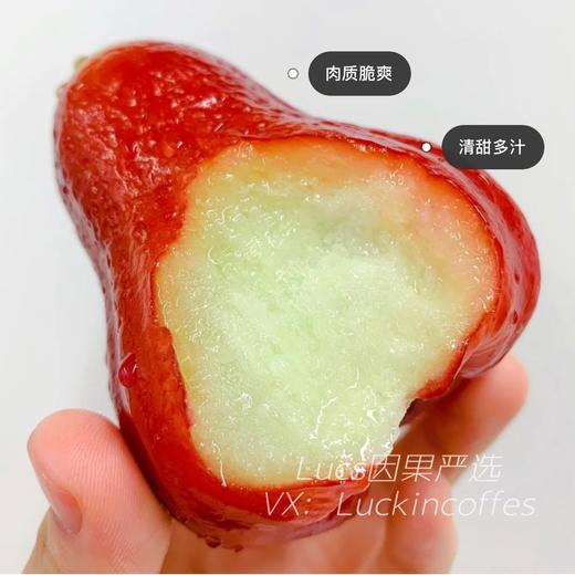 甜心 黑金刚莲雾  （补水神器）推荐19.9/2个 商品图2