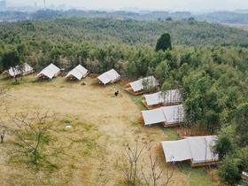 竹林露营 | 德清露营体验+萌宠乐园 2天1晚
