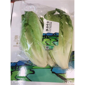 那云那南高原有机罗马生菜