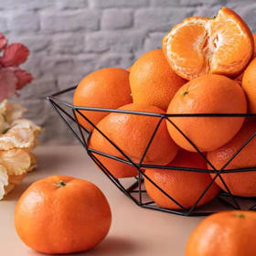 桂林珍珠柑  （5斤/8斤装）