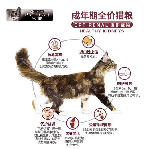 冠能全价猫粮400g 商品图3