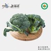 上膳源有机西兰花 商品缩略图0