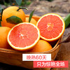产地直发 | 现摘秭归中华红血橙 历经霜雪更红润多汁 酸甜可口 水果界VC 商品缩略图1