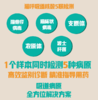 猫研所 呼吸道病原五联核酸PCR检测【 猫疱疹病毒、猫杯状病毒、支原体、衣原体、波士杆菌】 商品缩略图1