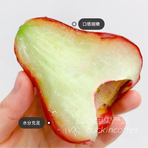 甜心 黑金刚莲雾  （补水神器）推荐19.9/2个 商品图3