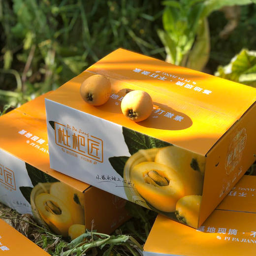 四川米易枇杷3斤 商品图1