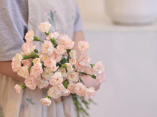 康乃馨【 时间是让人猝不及防的东西，偷走了青丝，留住你】简小姐精选 稀有康乃馨  2件包邮 下单48小时发货 商品图2