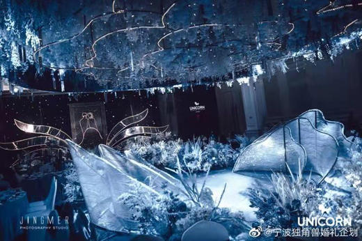 花片六件套【含灯、运费自理】 商品图2