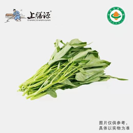 【下单后2-3天发货】上膳源有机空心菜 商品图0
