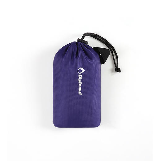 外交官便携折叠背包DFJ-801 商品图6