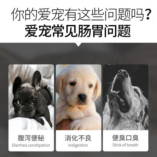 宝莱美露活性益生菌片180粒  改善肠胃 助消化 厂家直供！ 商品图2