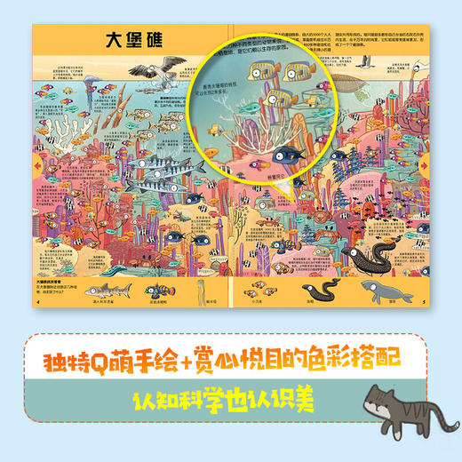 不可思议的发现之旅少儿科普玩具书（套装3册）外部形态和内在构造同步揭秘，激发孩子求知欲 商品图3