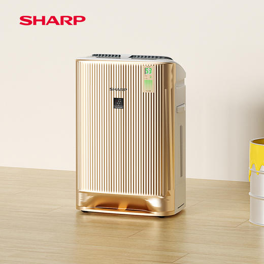 日本夏普PCI净离子群空气净化器  KC-WE61-N/W 商品图1